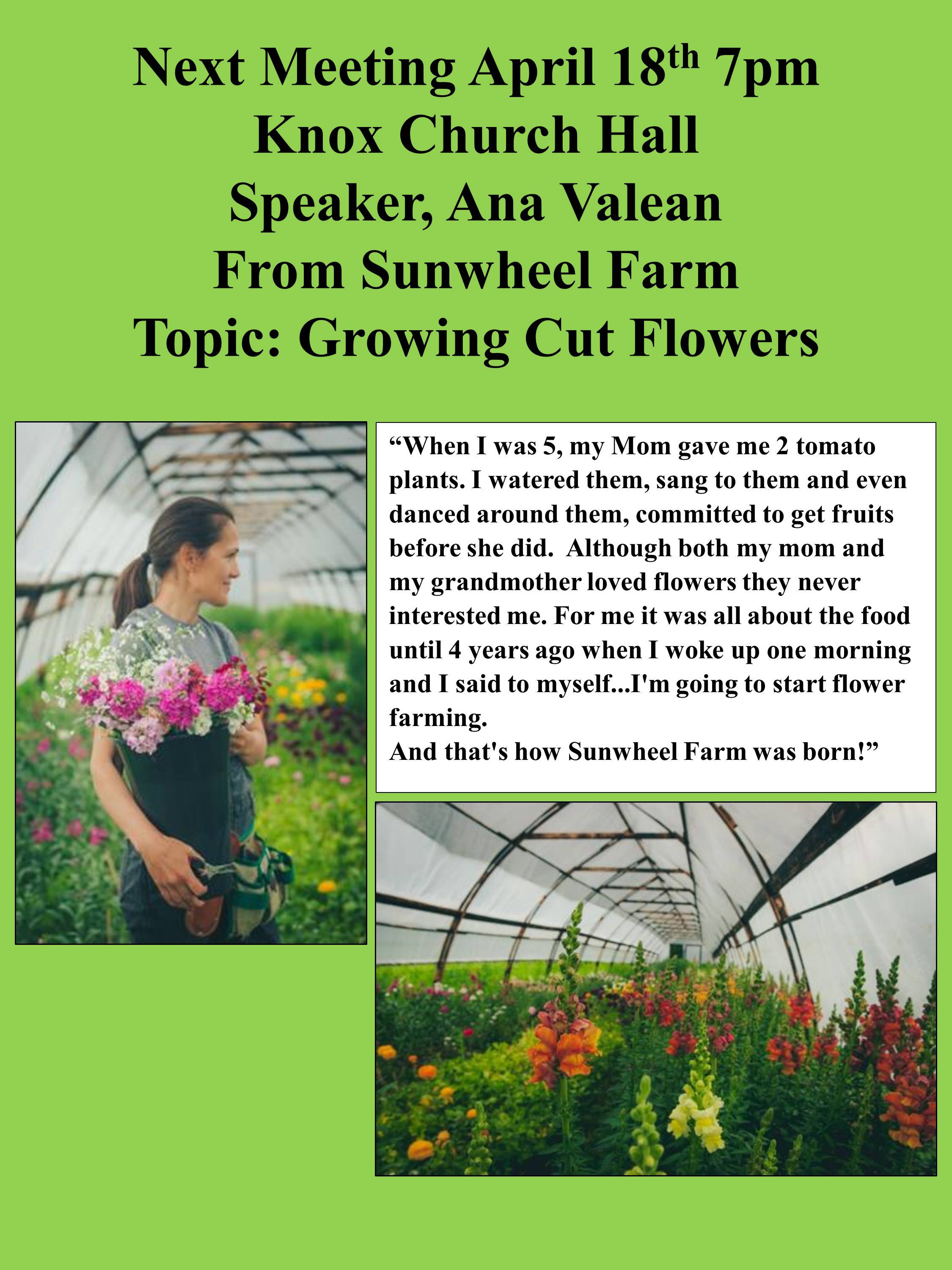 Ana Valean of Sunwheel Farm will speak on <em>Growing Cut flowers</em>. 