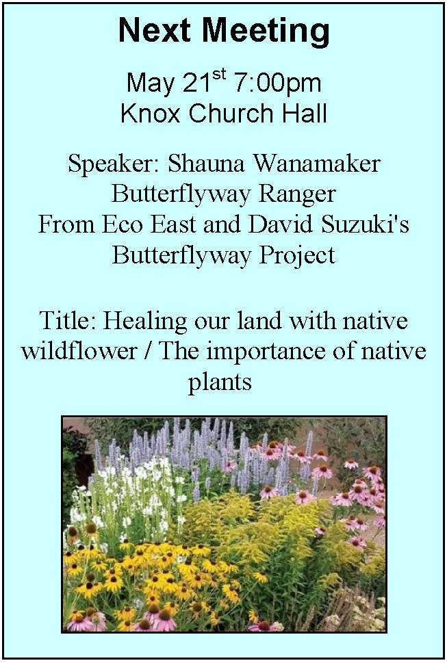 May 21 Meeting 